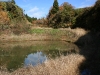 Japan-Mudpond-406