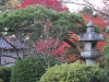 Japan-Koi-Einkaufsreise-kyoto19