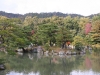 Japan-Koi-Einkaufsreise-kyoto8